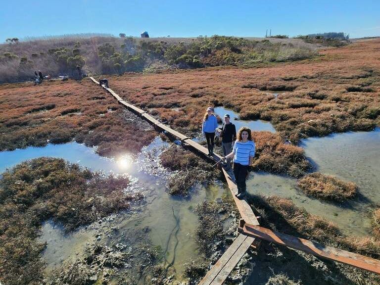Paytan Lab members walking on a boardwalk they built to reach the eddy covariance tower at Yampah Marsh Elkhorn Slough. 