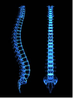 back x-ray